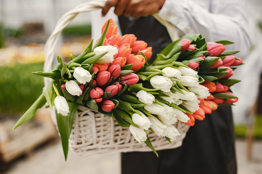Read more about the article Keep Mother’s Day Flowers Fresh