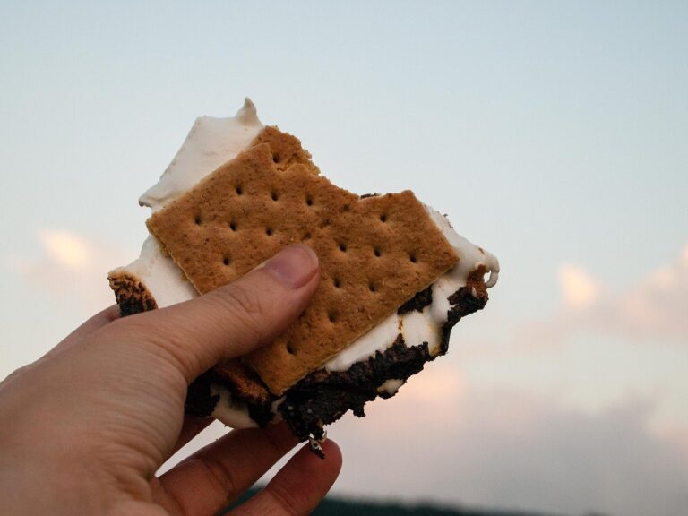 Read more about the article DIY S’mores Roaster