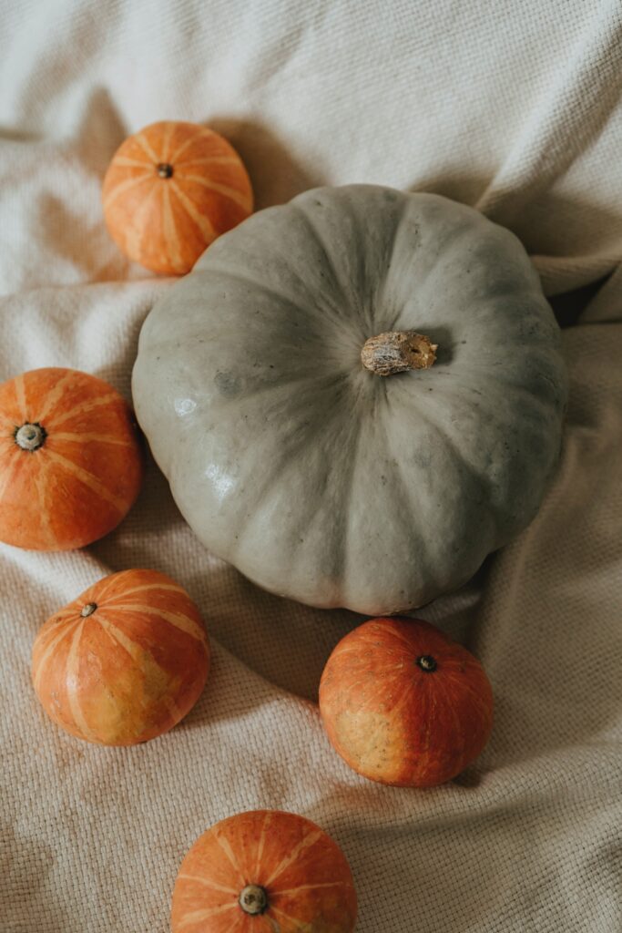 Group of pumpkins