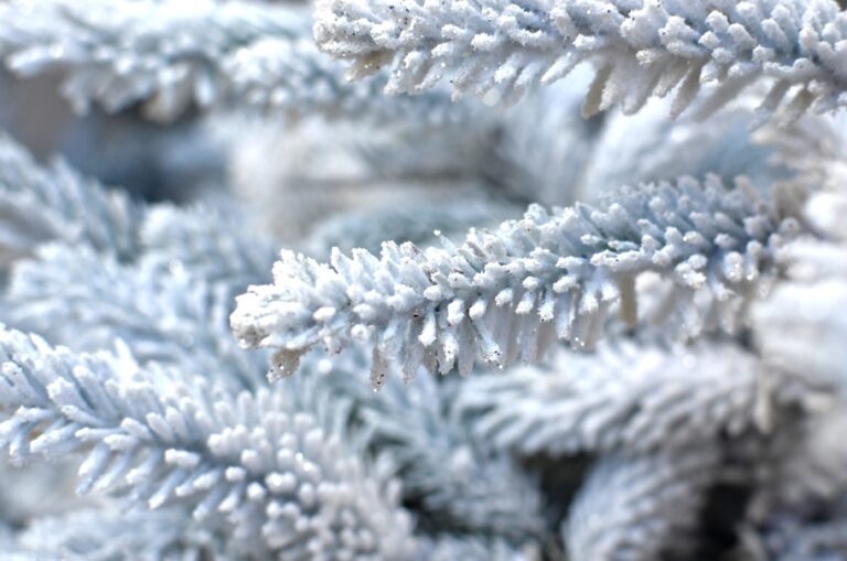 Read more about the article These Winter Decorations Can Last You All Season