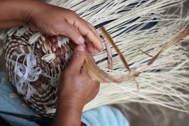 Read more about the article Build Something Amazing with These Beginner’s Basket Weaving Tips